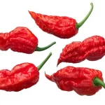 Semințe ardei iute Bhut Jolokia 50 semințe -livrarea din februarie