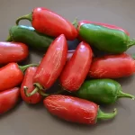 Semințe ardei iute Hot Jalapeno 100 semințe -livrarea din februarie