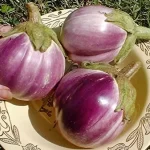 Semințe vinete Bianca Sfumata di Rosa 200 semințe -livrarea din februarie
