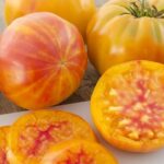 Seminte tomate Ananas 100buc. -livrarea din februarie