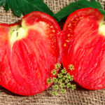 Seminte tomate Inima de Bou 100buc.-livrarea din februarie