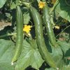 Imagine produs