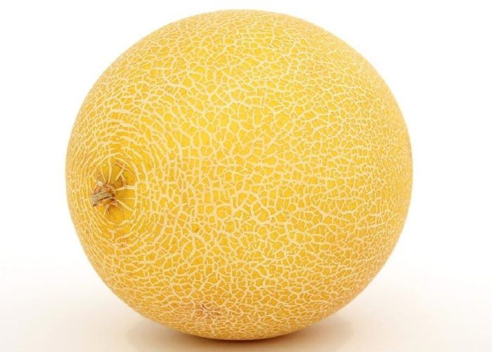 Semințe pepene galben Ananas 100 semințe -livrarea din 25 februarie - imagine 2