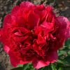 Imagine produs