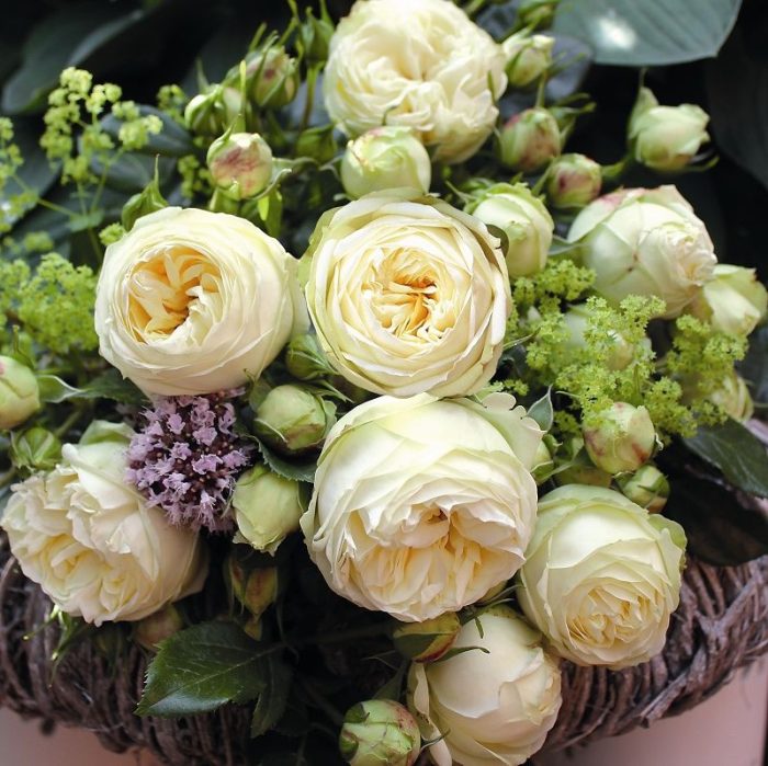 Trandafir Wedding Piano® - imagine 3