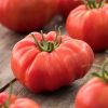 Semințe tomate Beefsteak 100 semințe