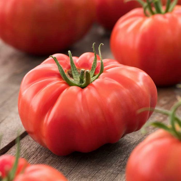 Semințe tomate Beefsteak 100 semințe