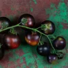 Semințe tomate Blackball 100 semințe