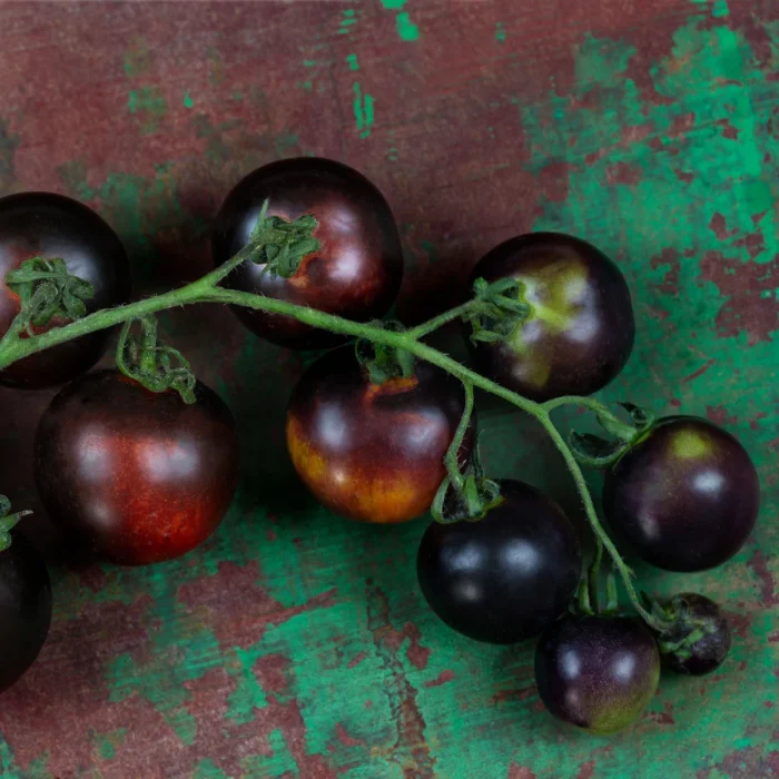 Semințe tomate Blackball 100 semințe