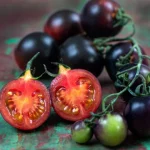 Semințe tomate Blackball 100 semințe