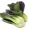 Semințe varză chinezească Pak Choi Red 500 semințe